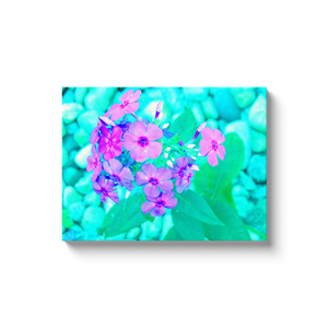 Canvas Wrapped Art Prints, Pretty Pink Garden Phlox Flower on Aquamarine