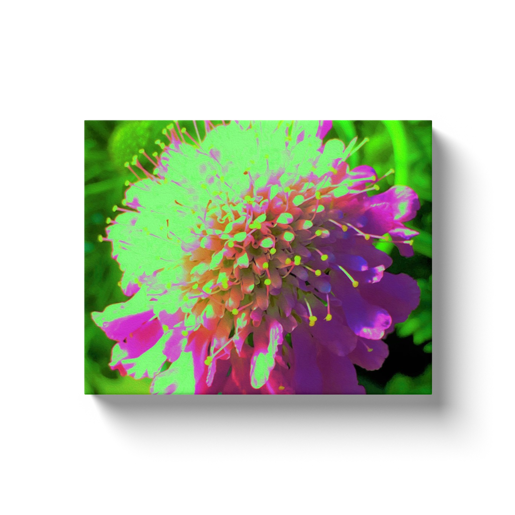 Canvas Wraps, Abstract Pincushion Flower in Lime Green and Purple