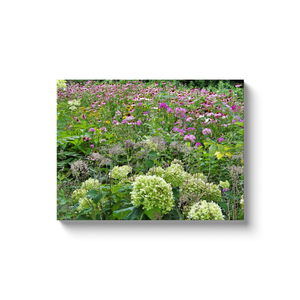 Canvas Wraps, Pink Cone Flower Garden Meadow with Hydrangeas