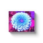 Canvas Wraps, Pretty Blue Zinnia in the Purple Summer Garden