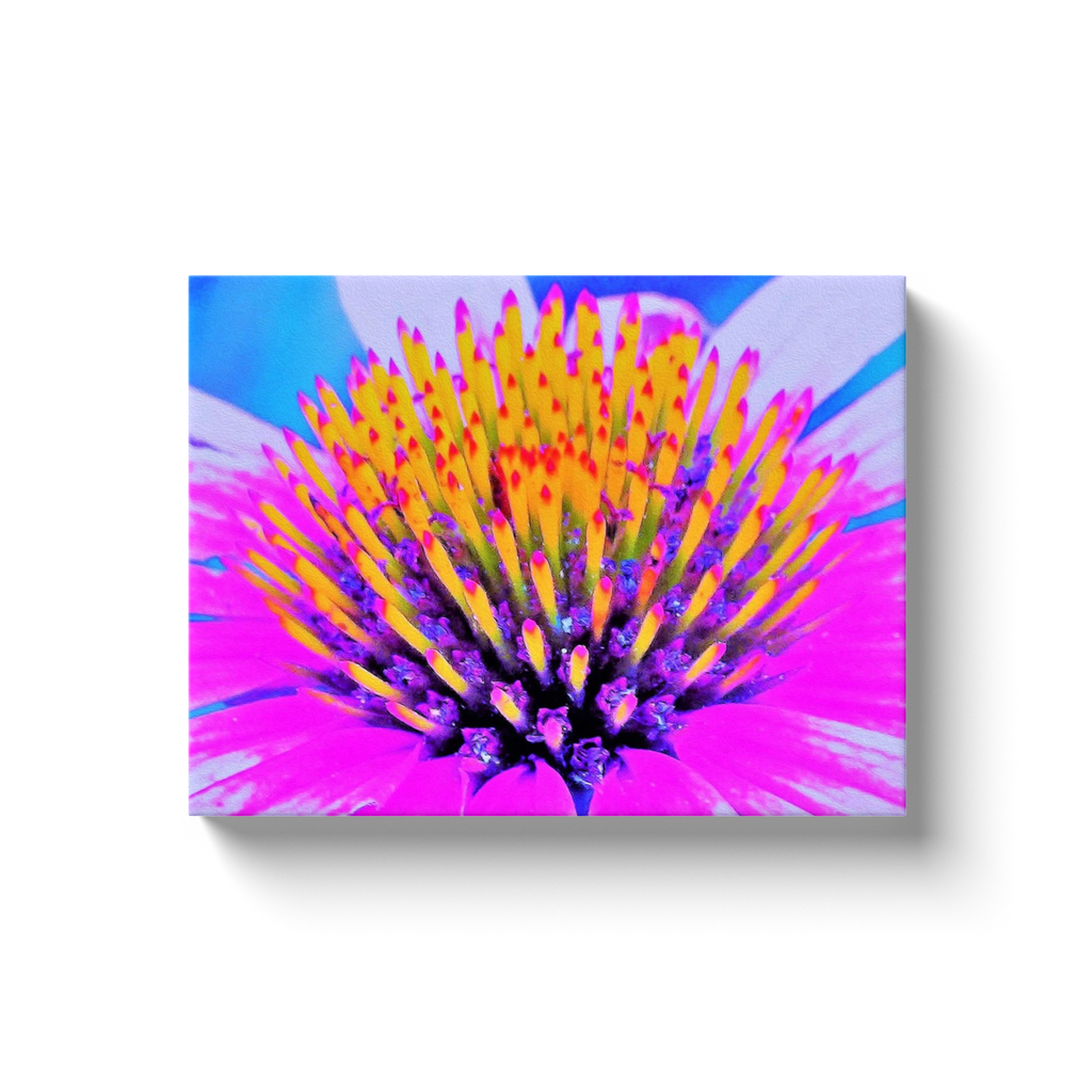 Canvas Wraps, Abstract Macro Hot Pink and Yellow Coneflower