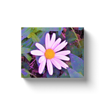 Canvas Wraps, Pink Daisy Flower