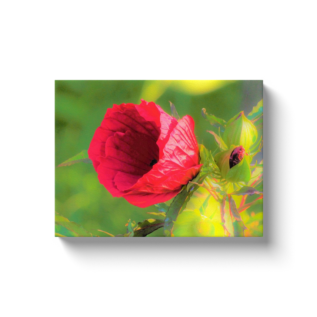 Canvas Wrapped Art Prints, Modern Red Hibiscus with Golden Green Foliage