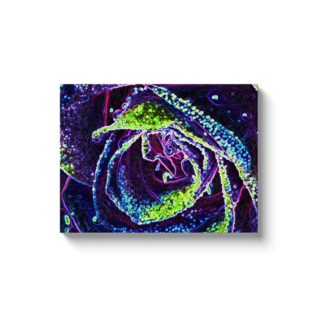 Canvas Wrapped Art Prints, Graphic Black White Blue and Green Rose Detail